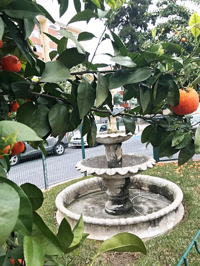 Gifsa Sevilla - Parque Alcosa Dış mekan fotoğraf