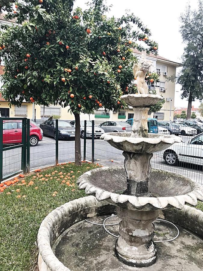 Gifsa Sevilla - Parque Alcosa Dış mekan fotoğraf